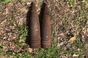 В лесу у брянского посёлка Локоть нашли два снаряда