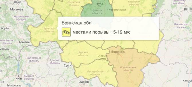 В Брянской области из-за ветра объявили жёлтый уровень опасности
