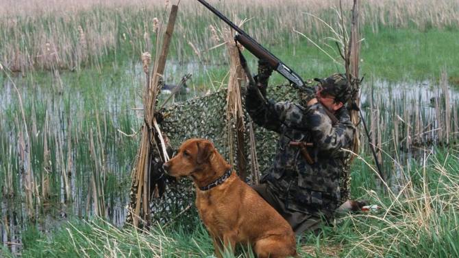 В Брянске запустили фейк об отмене охоты
