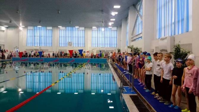 Поплавать в большом бассейне ФОКа «Бежица» можно за 310 рублей