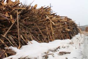 В Брянске деревообрабатывающее предприятие устроило свалку