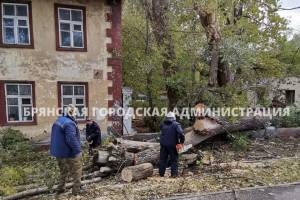 После ураганного ветра поступило 90 заявок о падениях деревьев и обрывов линий электропередач в Брянске