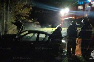 Под Гордеевкой в горящей легковушке погиб 24-летний водитель