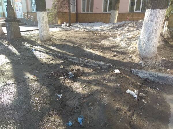 В Брянске Советская районная администрация обросла мусором