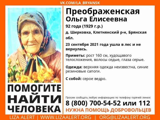 На Брянщине ищут заблудившуюся в лесу 92-летнюю пенсионерку 