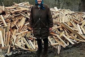  Брянской пенсионерке подарили машину дров и она заплакала от радости