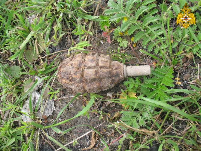 В Брянске жителей улицы Тургенева перепугала найденная ручная граната