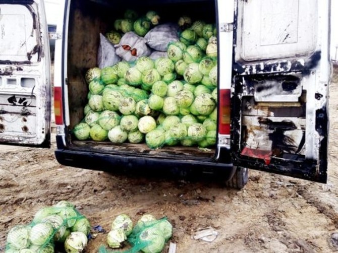 В Брянской области уничтожили три тонны овощей