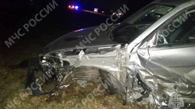 На брянской трассе вылетевший на встречку лихач погубил водителя и его 2-летнего сына