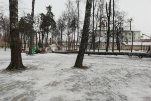 В Брянске рухнуло дерево в Майском парке