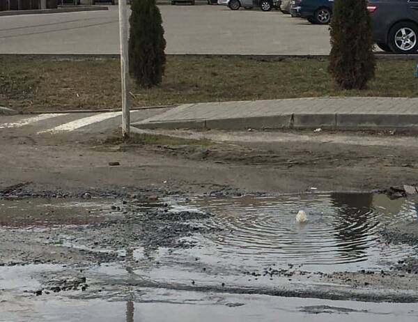 В Клинцах забил вонючий фонтан на улице Дзержинского 