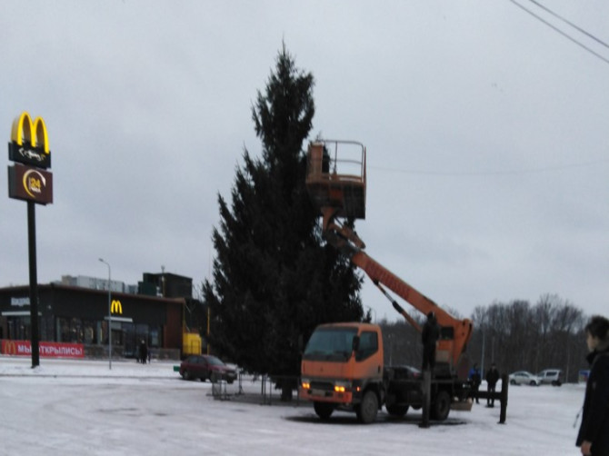 В Брянске возле «Линии» устанавливают новогоднюю елку