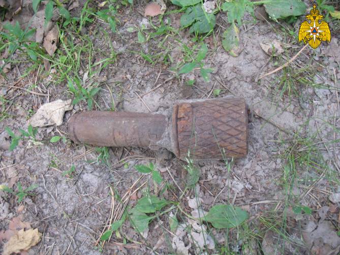 В Навлинском районе нашли гранату времён войны