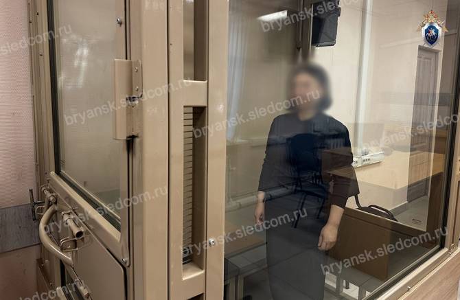 На брянскую бизнесвумен завели еще одно дело об афере на 20 млн рублей