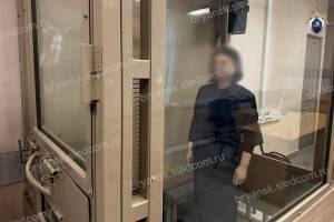 На брянскую бизнесвумен завели еще одно дело об афере на 20 млн рублей