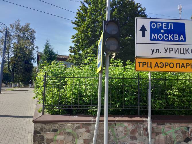 Мэр Брянска раскрыл тайну отключенных светофоров
