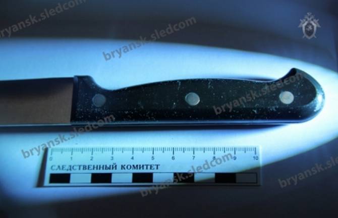 В Брянске 19-летний парень попытался изнасиловать и изрезал ножом несовершеннолетнюю студентку 