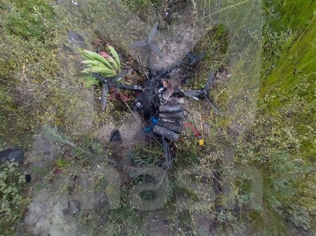 В Брянской области пограничники перехватили два украинских боевых дрона