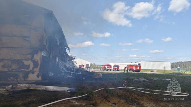 В Выгоничском районе сгорела птицеводческая ферма «Мираторга»