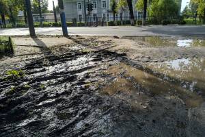 В Брянске рассказали о кошмарном состоянии дороги у школы №13