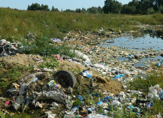 Депутат Шнейдер убедился в отсутствии сортировки мусора на брянском полигоне «Ратово» 