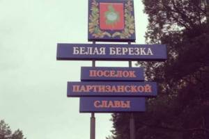 В соцсетях сообщили об очередном обстреле брянского поселка Белая Березка