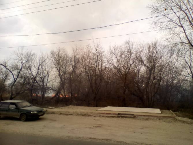 В Брянске загорелось поле напротив торгового центра «Аэропарк»