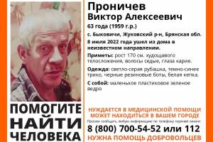 В Брянской области ищут пенсионера с зелёным ведром