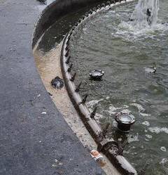 Жители Клинцов пожаловались на мёртвых птиц и грязь в городском фонтане