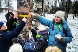 В Брянской области проходит эко-акция «Покорми птиц зимой»