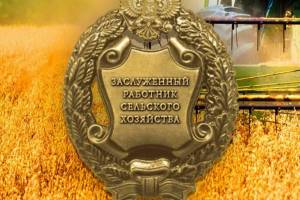 Брянского тракториста Александра Гришенькова удостоили звания «Заслуженный работник сельского хозяйства»