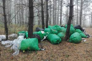 В лесу за Фосфоритным заводом в Брянске появилась мусорная свалка