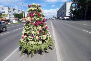 В Брянске на Авиационной посреди дороги поставили клумбы с цветами