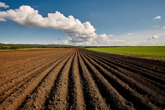 В Брянской области 64 тысяч гектаров сельскохозземель оказались за линией обороны