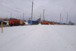 В Брянской области ожидается рекордное количество снега