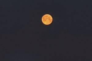 Брянцы делятся в соцсетях яркими снимками луны