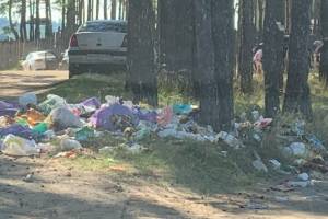 Брянцы загадили мусором местный «берег Балтики»