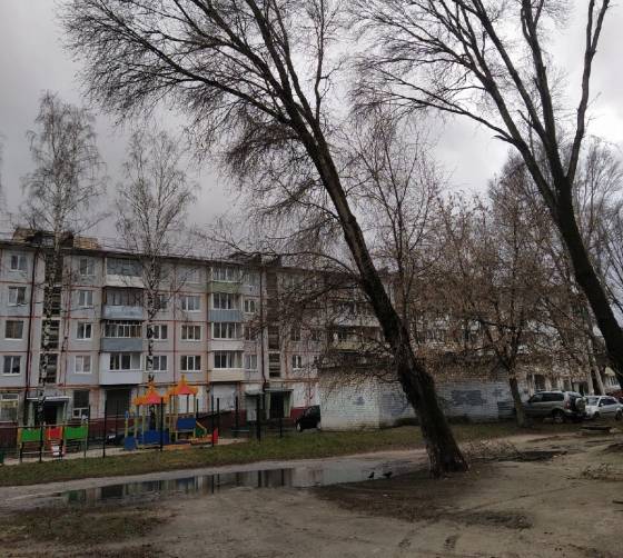 В Брянске над детской площадкой нависло гигантское дерево