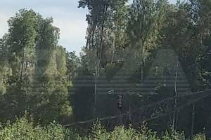 В Брянской области подорвали две опоры ЛЭП у железной дороги