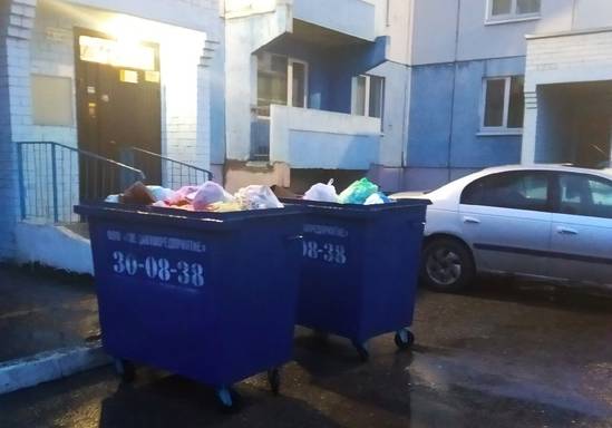 В Брянске жителей переулка Уральского измучила мусорная вонь
