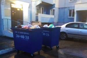 В Брянске жителей переулка Уральского измучила мусорная вонь