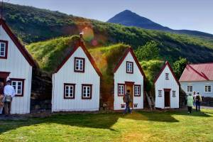 На Брянщине могут появиться норвежские домики