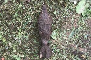 В брянском посёлке Смольянь обнаружили мину