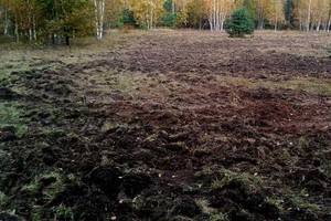 В Брянской области ввели в сельхозоборот 1100 гектаров заросшей бурьяном земли