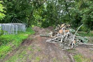 Брянских чиновников заставили убрать строительный мусор в парке «Соловьи»