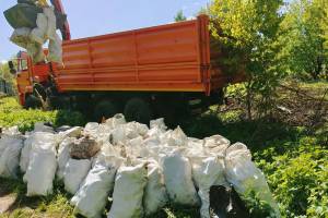 В Брянске возле 10-го микрорайона собрали 8 кубометров мусора