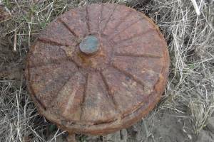 В лесу под Брянском нашли две противотанковые мины