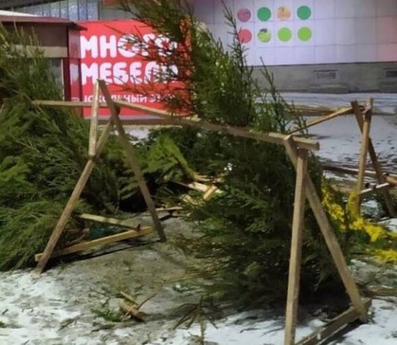 Брянцев возмутило кладбище новогодних елок у торгового центра