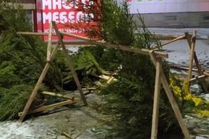 Брянцев возмутило кладбище новогодних елок у торгового центра