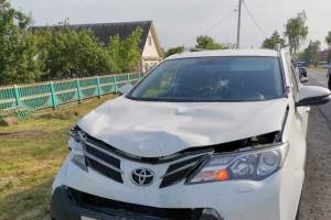 На брянской трассе водитель «Toyota RAV4» сбил насмерть 61-летнюю женщину